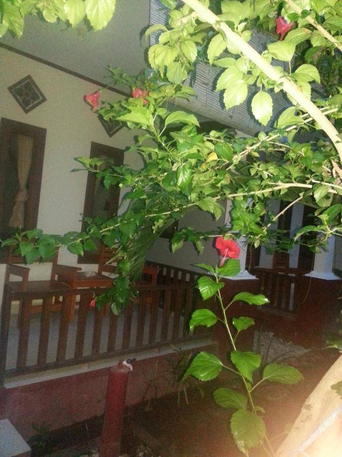 Family Bungalow Ilhas Gili Exterior foto