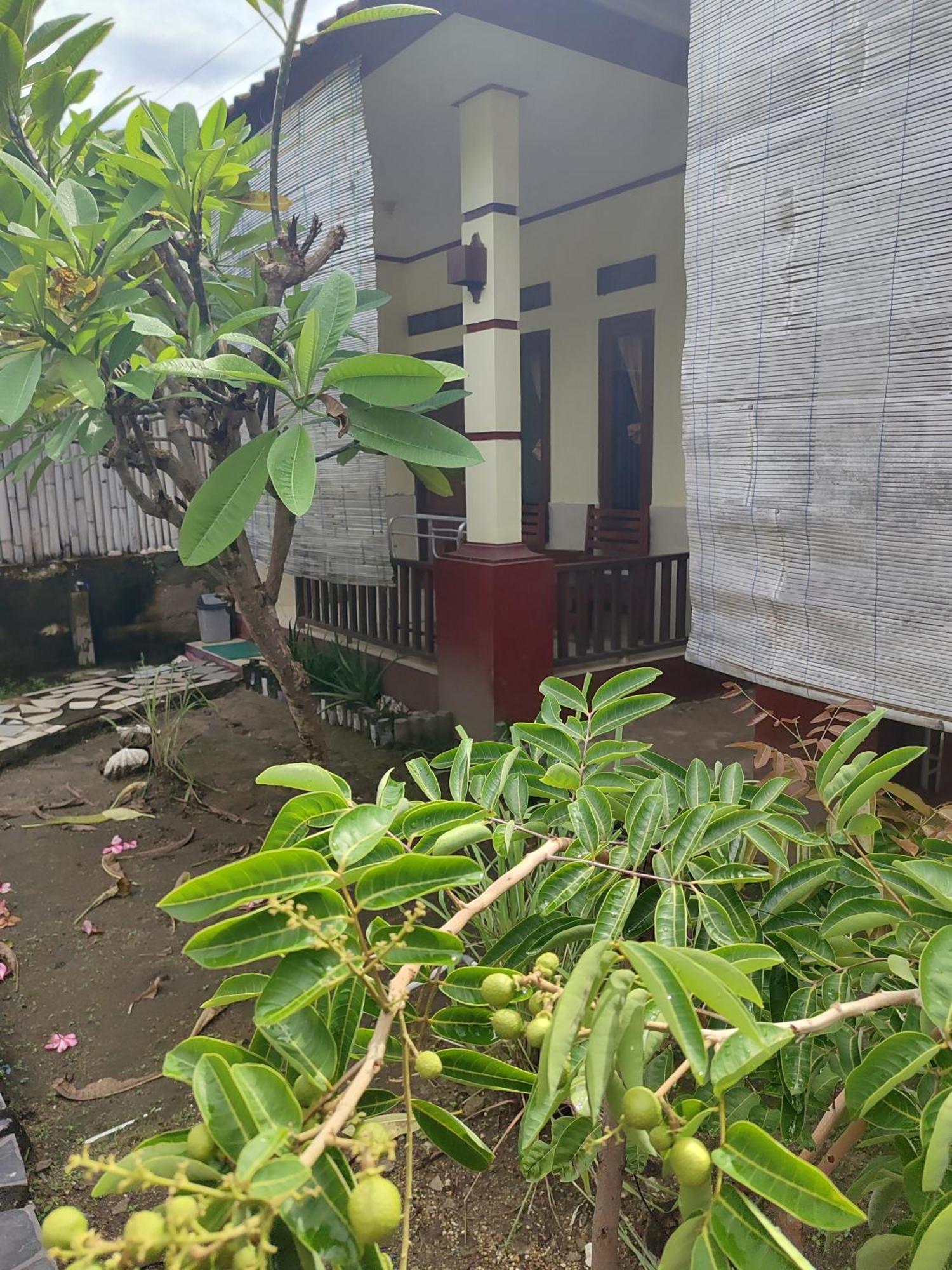 Family Bungalow Ilhas Gili Exterior foto